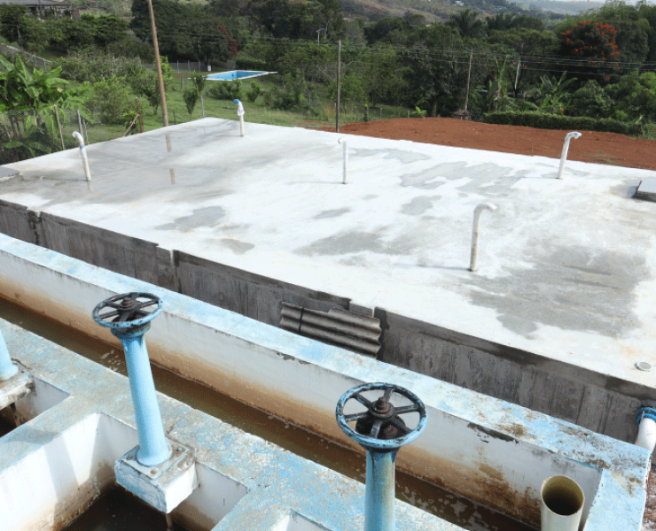 imagencaloto_plantadeagua_imagen-de-la-noticia